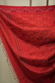 Parrot Green Raw Silk Ikat Saree - SRPGRSIS1087
