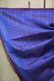 Blue Raw Silk Ikat Saree - SRBRSIS1090