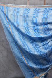 Blue HBP Chanderi Cotton Silk Saree With Maheshwari Border - SRBCS144-PI