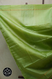 Mint Green Tussar Silk Saree - SRMGTSS1506