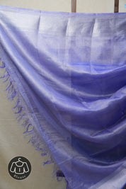 Blue Silver Tissue Tussar Silk Saree - SRBSTTSS447