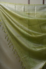 Light-Green Silver Tissue Tussar Silk Saree - SRLGSTTSS454