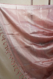 Red Tissue Tussar Silk Saree - SRRTTSS412