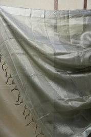 Green Tissue Tussar Silk Saree - SRGTTSS414