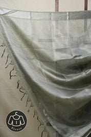 Green Tissue Tussar Silk Saree - SRGTTSS414