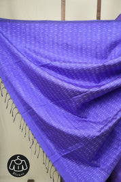 Blue Raw Silk Ikat Saree - SRBRISS1086