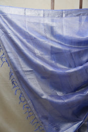 Blue Tissue Tussar Silk Saree - SRBTTSS417