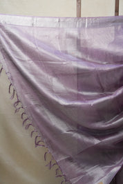 Purple Tissue Tussar Silk Saree - SRPTTSS415
