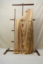 Beige Tissue Tussar Silk Saree - SRBTTSS410