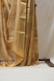 Beige Tissue Tussar Silk Saree - SRBTTSS410