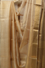 Beige Tissue Tussar Silk Saree - SRBTTSS410