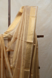 Beige Tissue Tussar Silk Saree - SRBTTSS410