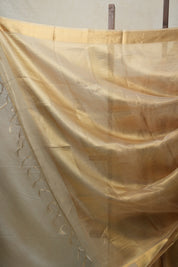 Beige Tissue Tussar Silk Saree - SRBTTSS410