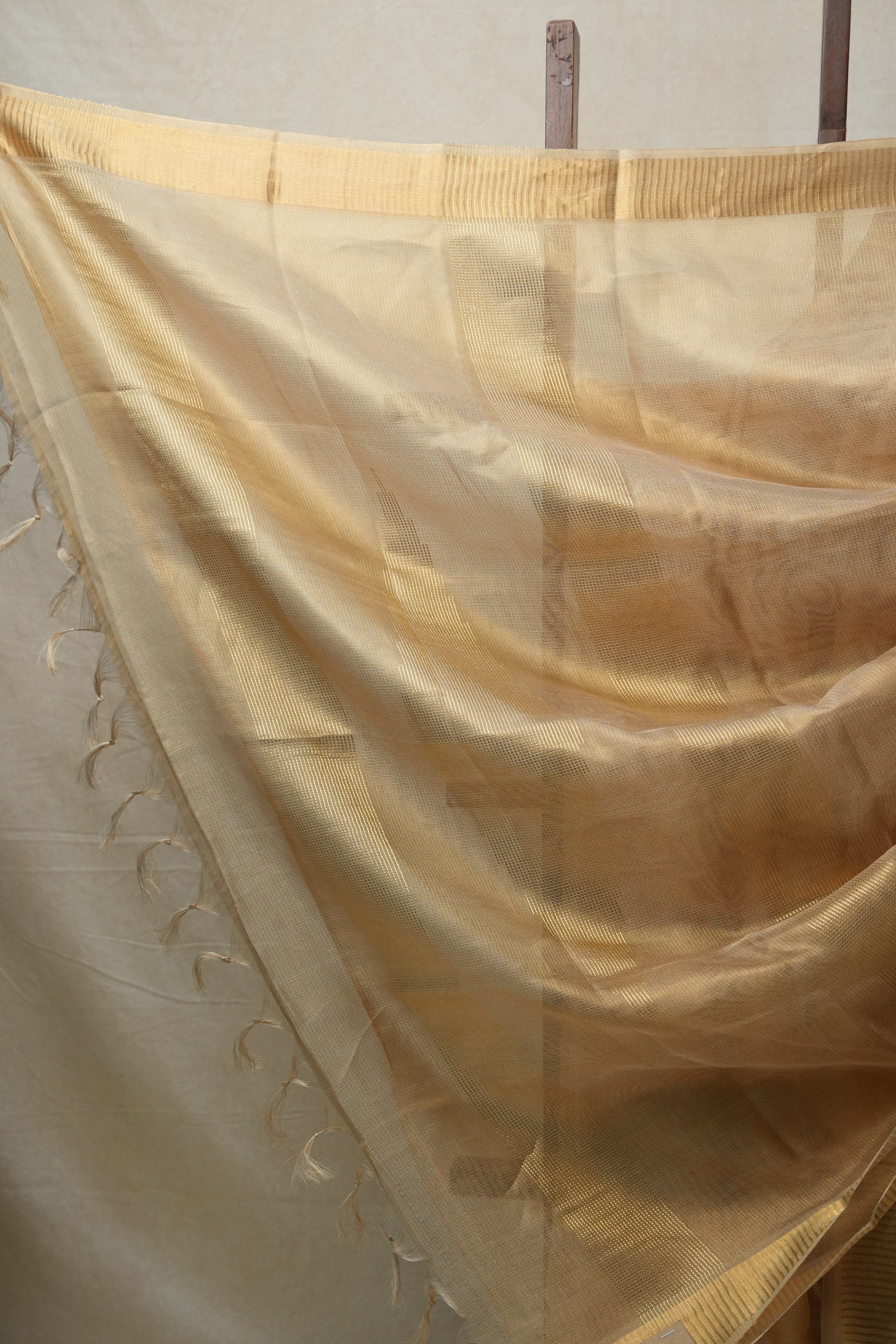 Beige Tissue Tussar Silk Saree - SRBTTSS410