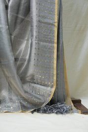 Grey Tissue Tussar Silk Saree - SRGTTSS398