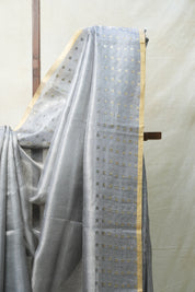 Grey Tissue Tussar Silk Saree - SRGTTSS398