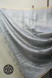 Grey Tissue Tussar Silk Saree - SRGTTSS398