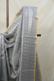 Grey Tissue Tussar Silk Saree - SRGTTSS406