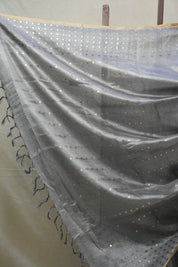 Grey Tissue Tussar Silk Saree - SRGTTSS406