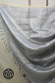 Grey Tissue Tussar Silk Saree - SRGTTSS406
