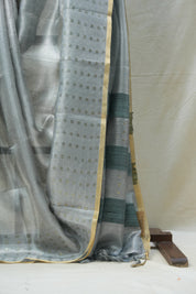 Grey Tissue Tussar Silk Saree - SRGTTSS405
