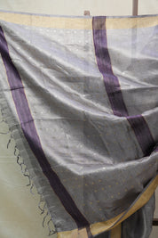 Blue Tissue Tussar Silk Saree - SRBTTSS439