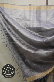 Blue Tissue Tussar Silk Saree - SRBTTSS439