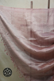 Coral Silver Tissue Tussar Silk Saree - SRCSTTSS431