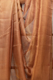 Copper Gold Tissue Tussar Silk Saree - SRCGTTSS422