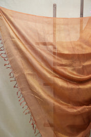 Copper Gold Tissue Tussar Silk Saree - SRCGTTSS422