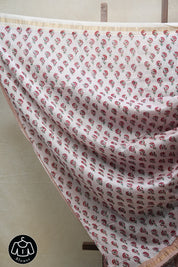 Brown HBP Cotton Silk Saree With Maheshwari Border - SRBCSS1198