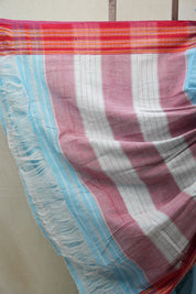 Sky Blue Cotton Patteda Anchu Saree - SRSBPAS273