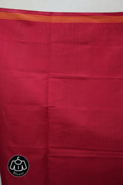 Blue Rajkot Patola Silk Saree - SRBRPSS384