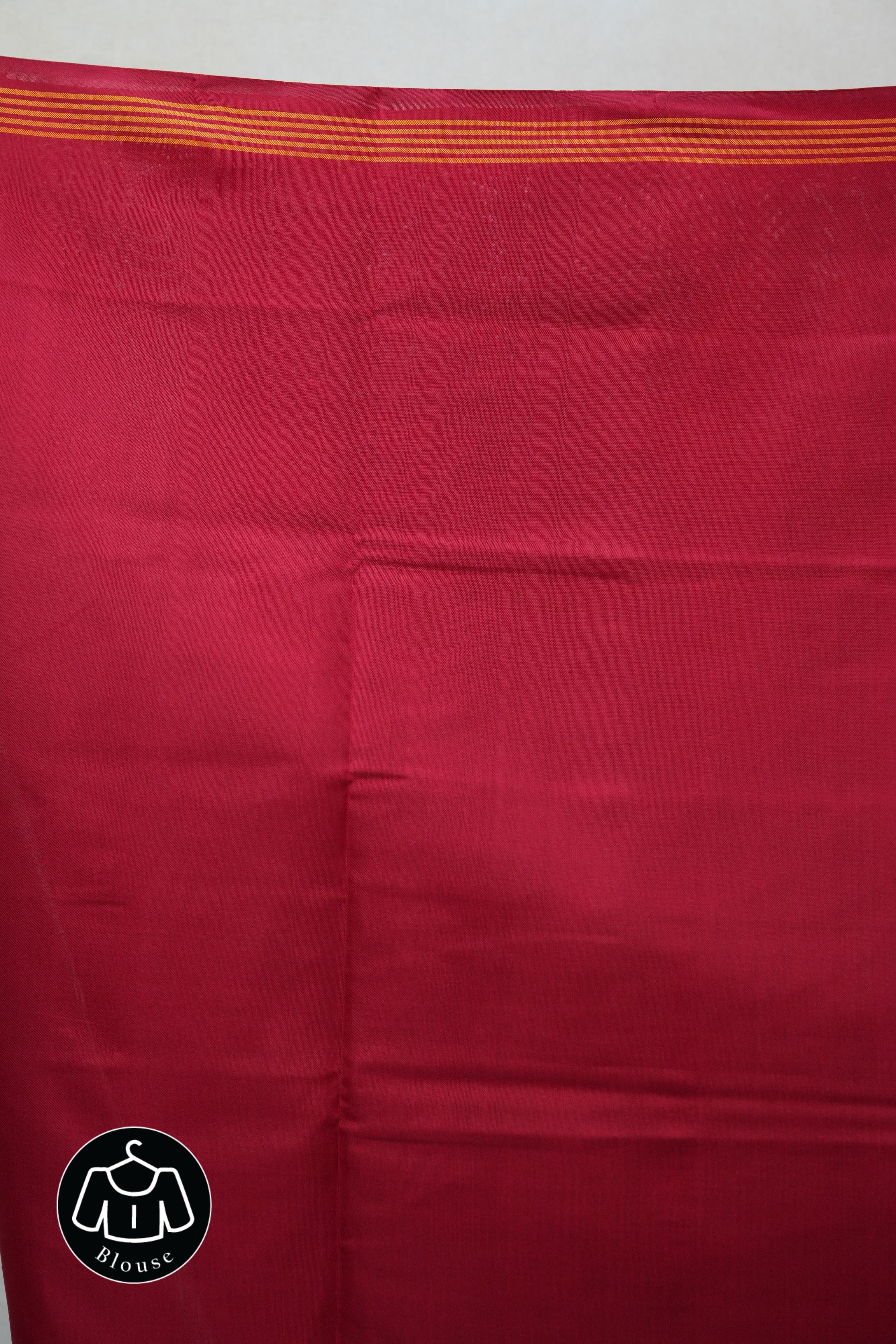 Blue Rajkot Patola Silk Saree - SRBRPSS384