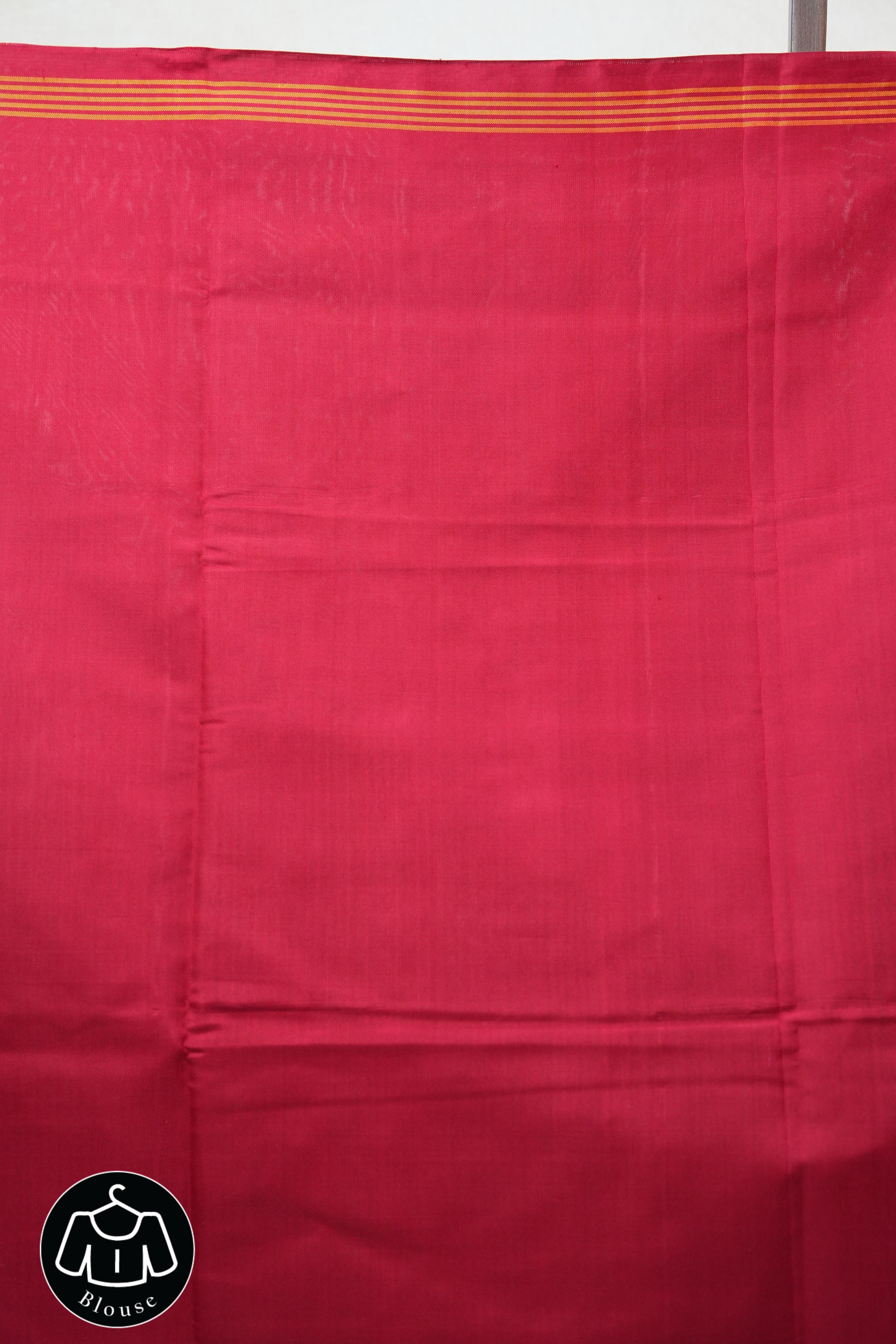 Blue Rajkot Patola Silk Saree - SRBRPSS389