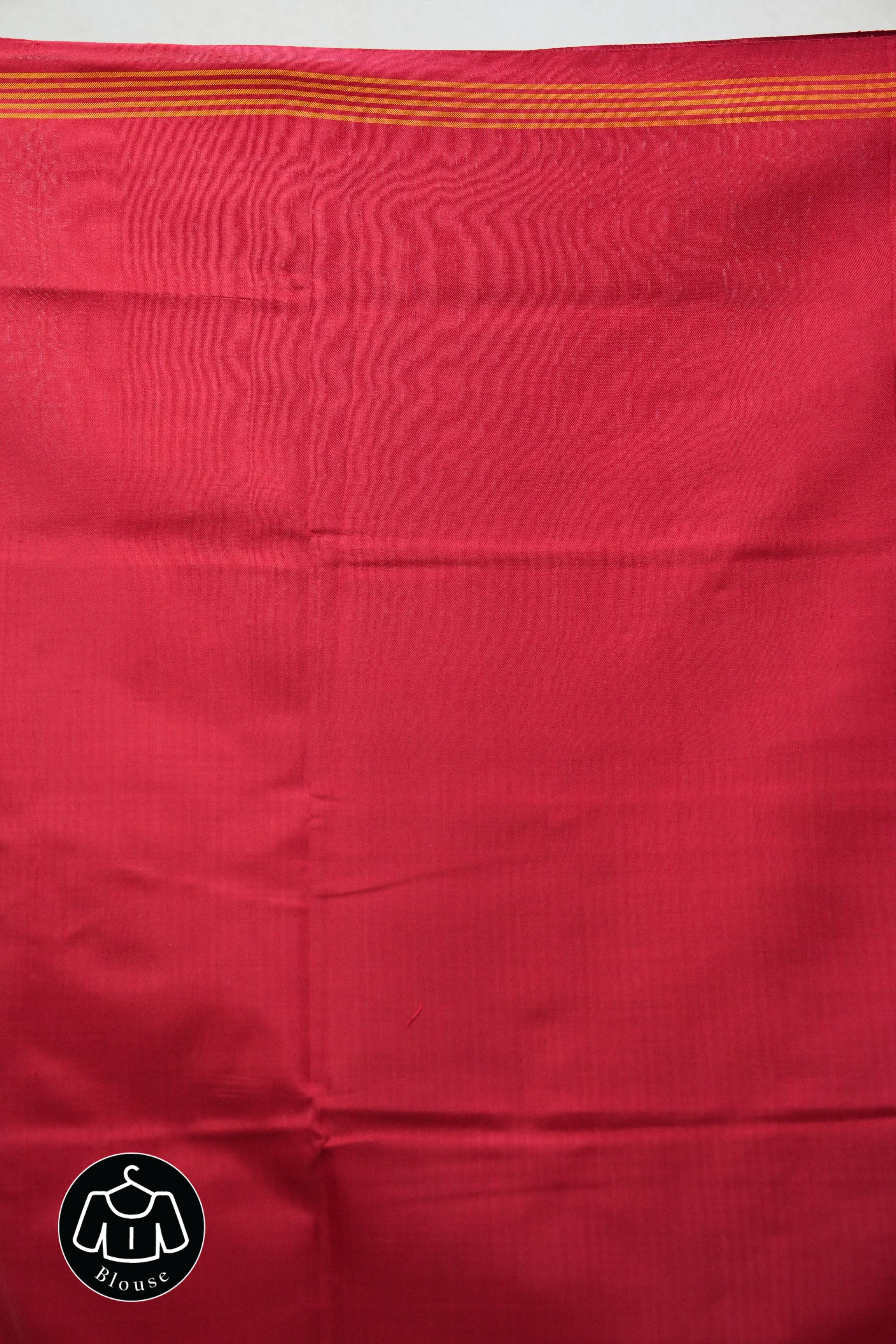 Blue Rajkot Patola Silk Saree - SRBRPSS388