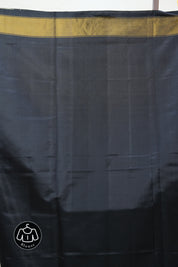 Sky Blue Rajkot Patola Silk Saree - SRSBRPSS367