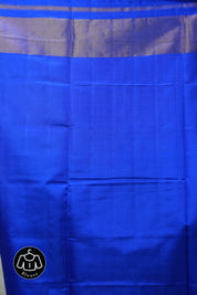 Blue Rajkot Patola Silk Saree - SRBRPSS381