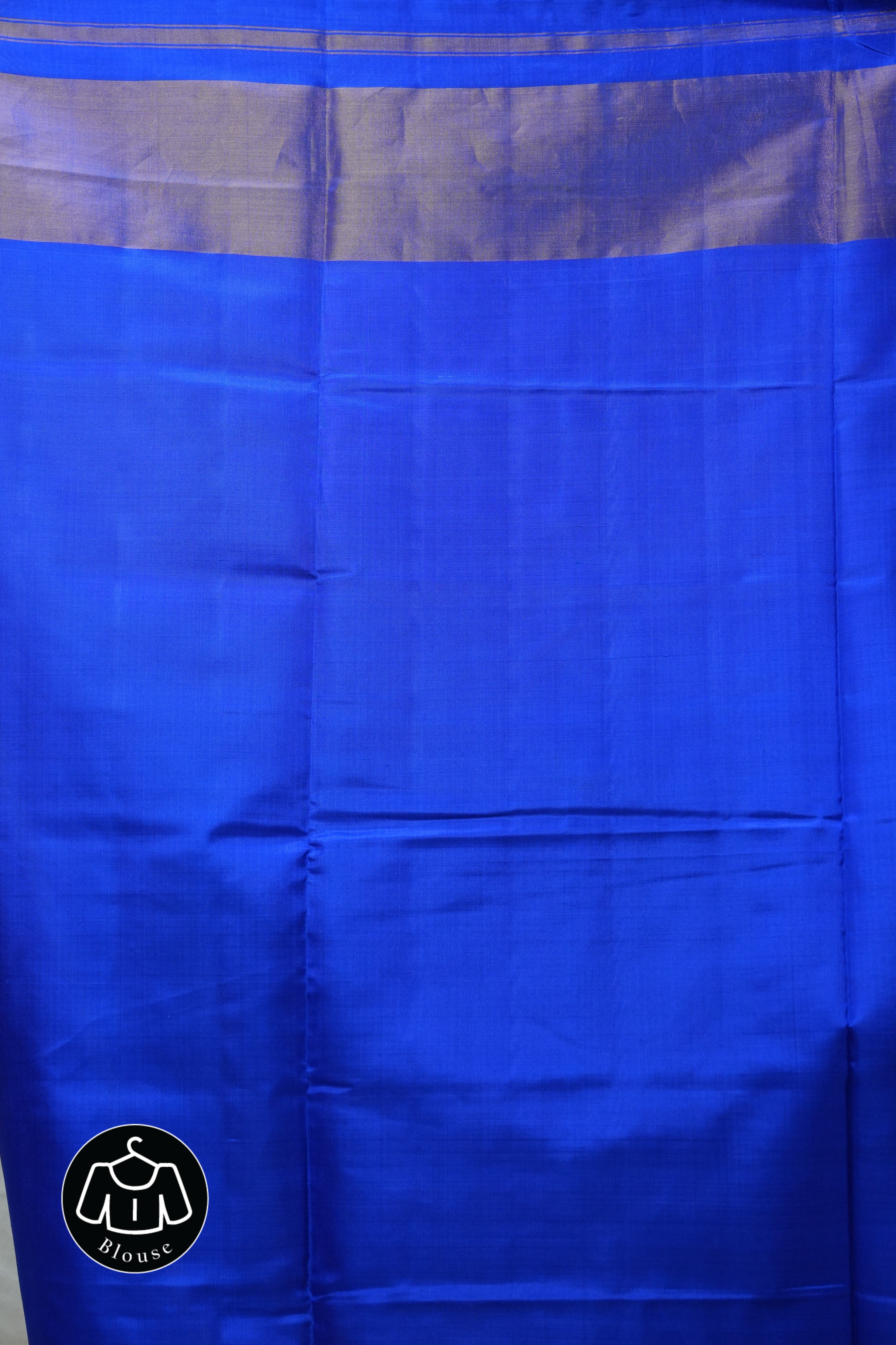 Blue Rajkot Patola Silk Saree - SRBRPSS381