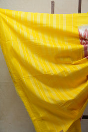 Red Pochampalli Cotton Ikat Saree - SRRPCIS507