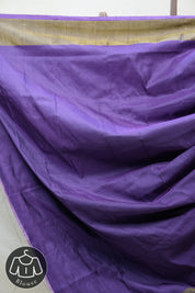 Purple Pochampalli Silk Ikat Saree - SRPPSIS165