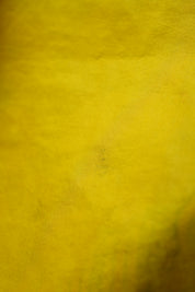 Yellow Tussar Silk Saree - SRYTSS1370