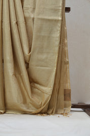 Beige Maheshwari Tissue Saree - SRBMTS456