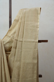 Beige Maheshwari Tissue Saree - SRBMTS456