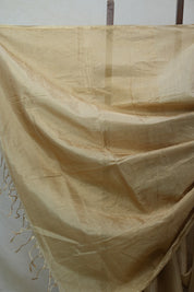 Beige Maheshwari Tissue Saree - SRBMTS456