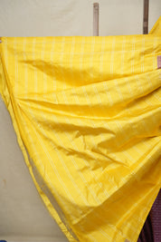 Onion Pink Pochampalli Silk Ikat Saree - SROPPSIS281