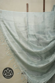 Aqua Silver Tissue Tussar Silk Saree - SRASTTSS592