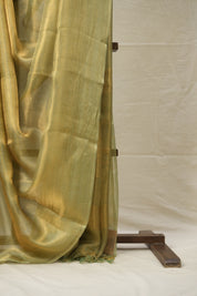 Mint Gold Tissue Tussar Silk Saree - SRMGTTSS588