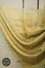 Mint Gold Tissue Tussar Silk Saree - SRMGTTSS588