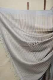 Powder Blue Tussar Silk Saree - SRPBTSS1644